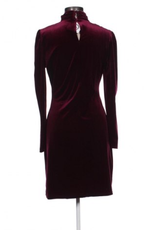 Kleid George, Größe M, Farbe Lila, Preis 14,99 €
