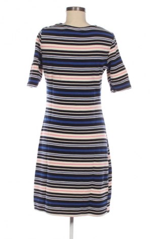 Šaty  Hema, Veľkosť M, Farba Viacfarebná, Cena  9,95 €