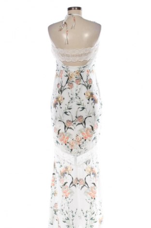 Kleid Hope & Ivy, Größe L, Farbe Mehrfarbig, Preis 63,75 €