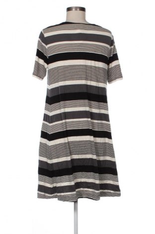 Kleid Loft By Ann Taylor, Größe M, Farbe Mehrfarbig, Preis € 49,99