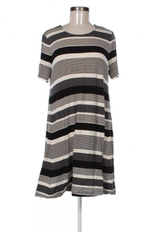 Kleid Loft By Ann Taylor, Größe M, Farbe Mehrfarbig, Preis € 49,99