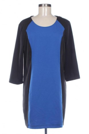 Φόρεμα MARC NEW YORK, Μέγεθος XL, Χρώμα Πολύχρωμο, Τιμή 66,53 €