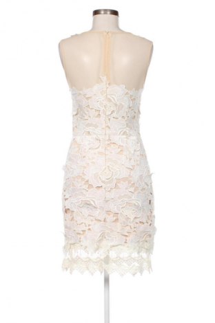 Φόρεμα Missguided, Μέγεθος M, Χρώμα Πολύχρωμο, Τιμή 11,99 €