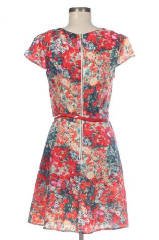 Kleid Oasis, Größe M, Farbe Mehrfarbig, Preis 21,99 €