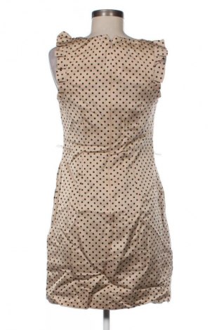 Rochie Oasis, Mărime M, Culoare Multicolor, Preț 116,99 Lei