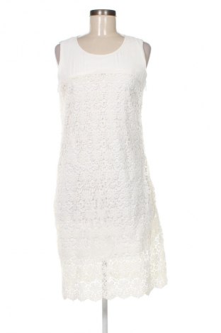 Kleid Orsay, Größe L, Farbe Mehrfarbig, Preis € 11,99