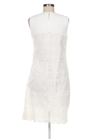 Kleid Orsay, Größe L, Farbe Mehrfarbig, Preis € 11,99