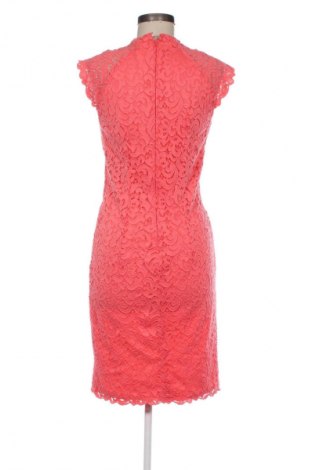 Kleid Orsay, Größe L, Farbe Rot, Preis 10,99 €
