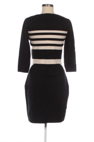 Kleid Phase Eight, Größe L, Farbe Mehrfarbig, Preis 41,94 €