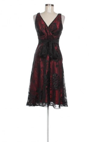 Kleid The Collection by Debenhams, Größe M, Farbe Mehrfarbig, Preis 31,76 €