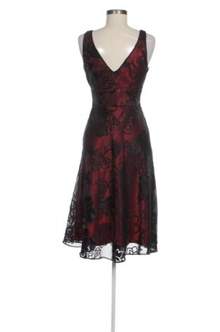Kleid The Collection by Debenhams, Größe M, Farbe Mehrfarbig, Preis 31,76 €