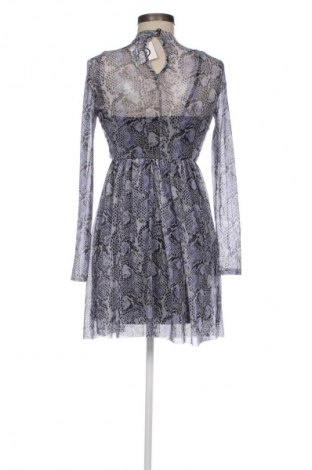 Kleid The Collection by Debenhams, Größe S, Farbe Mehrfarbig, Preis € 14,77