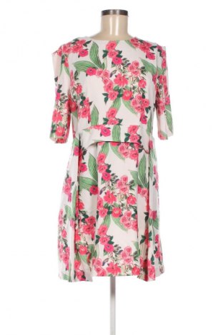 Šaty  Wolf & Whistle, Veľkosť XL, Farba Viacfarebná, Cena  24,55 €