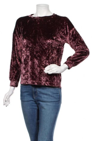 Γυναικεία μπλούζα Tally Weijl, Μέγεθος XS, Χρώμα Βιολετί, Τιμή 8,66 €