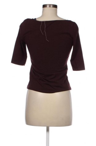Γυναικεία μπλούζα Armand Ventilo, Μέγεθος S, Χρώμα Καφέ, Τιμή 3,71 €