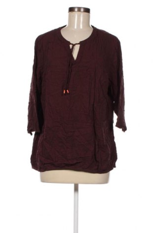 Дамска блуза Cecil, Размер S, Цвят Кафяв, Цена 4,08 лв.