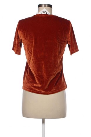 Γυναικεία μπλούζα Groggy, Μέγεθος XS, Χρώμα Καφέ, Τιμή 1,88 €