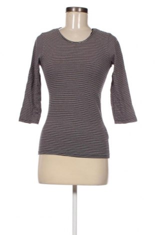 Γυναικεία μπλούζα Laura Torelli, Μέγεθος S, Χρώμα Μαύρο, Τιμή 1,65 €