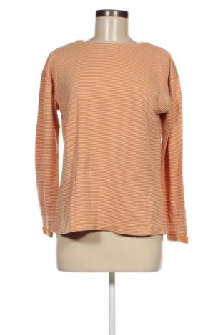 Γυναικεία μπλούζα Laura Torelli, Μέγεθος S, Χρώμα Πορτοκαλί, Τιμή 2,00 €