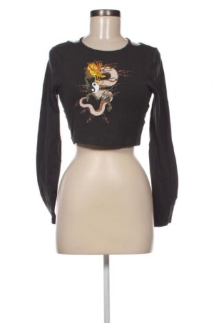 Γυναικεία μπλούζα Neon & Nylon by Only, Μέγεθος L, Χρώμα Γκρί, Τιμή 3,34 €