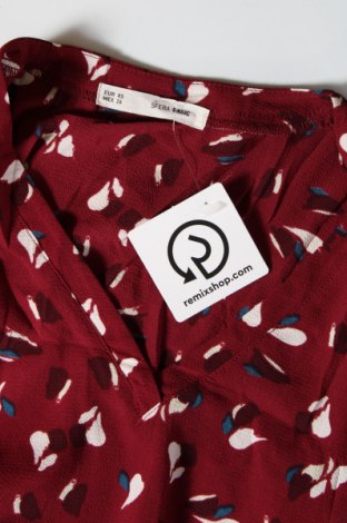 Γυναικεία μπλούζα Sfera, Μέγεθος XS, Χρώμα Πολύχρωμο, Τιμή 1,88 €