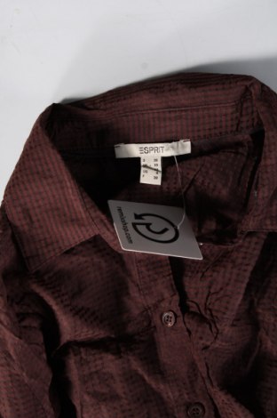 Γυναικείο πουκάμισο Esprit, Μέγεθος S, Χρώμα Καφέ, Τιμή 1,63 €