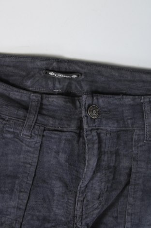 Γυναικείο κοτλέ παντελόνι Cimarron, Μέγεθος M, Χρώμα Μπλέ, Τιμή 2,51 €