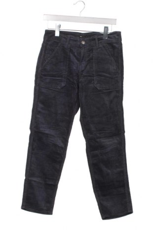 Pantaloni de velvet de femei Cimarron, Mărime M, Culoare Albastru, Preț 13,35 Lei
