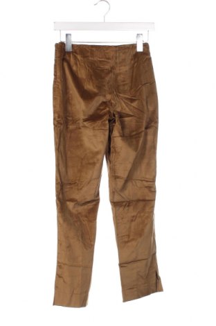 Дамски панталон PTOW, Размер XS, Цвят Кафяв, Цена 4,64 лв.