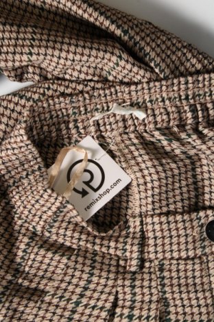 Γυναικείο παντελόνι Primark, Μέγεθος M, Χρώμα Πολύχρωμο, Τιμή 2,69 €