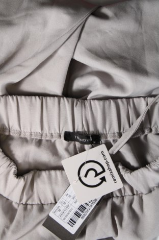 Damenhose Trendyol, Größe S, Farbe Grau, Preis 44,85 €