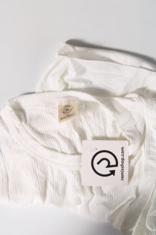 Damentop Urban Outfitters, Größe L, Farbe Weiß, Preis 14,95 €