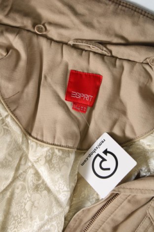 Damenjacke Esprit, Größe XL, Farbe Beige, Preis 15,03 €