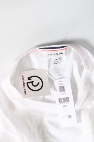 Detské tričko Lacoste, Veľkosť 13-14y/ 164-168 cm, Farba Biela, Cena  76,80 €