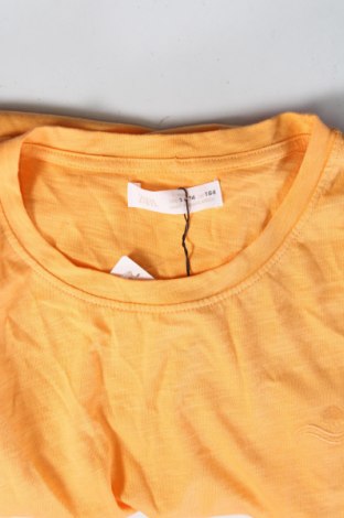 Kinder Top Zara, Größe 12-13y/ 158-164 cm, Farbe Orange, Preis 2,69 €