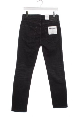 Herren Jeans Jack & Jones, Größe S, Farbe Grau, Preis 11,84 €