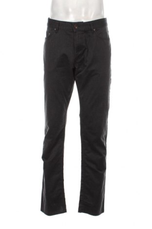 Ανδρικό παντελόνι Nils Sundstrom, Μέγεθος L, Χρώμα Γκρί, Τιμή 17,94 €