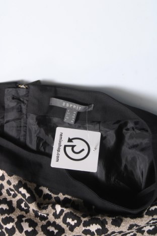 Sukňa Esprit, Veľkosť S, Farba Čierna, Cena  1,64 €