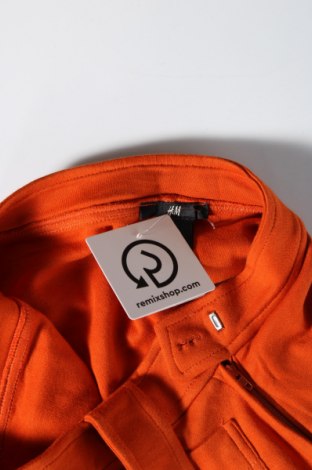 Φούστα H&M, Μέγεθος XS, Χρώμα Πορτοκαλί, Τιμή 1,61 €