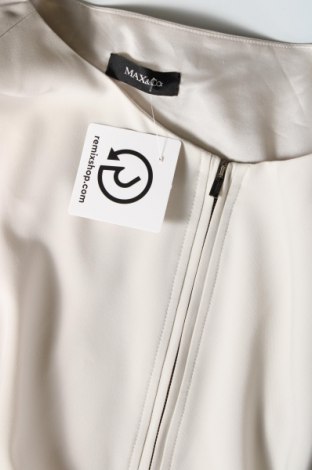 Kleid Max&Co., Größe XL, Farbe Mehrfarbig, Preis 71,68 €
