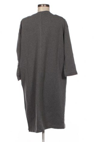 Kleid Sandwich_, Größe L, Farbe Grau, Preis € 18,04