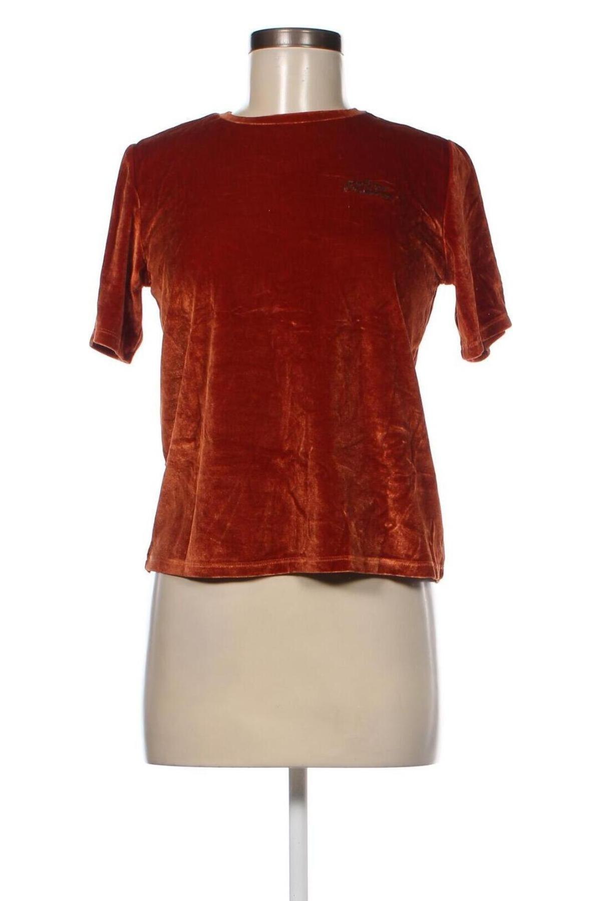Γυναικεία μπλούζα Groggy, Μέγεθος XS, Χρώμα Καφέ, Τιμή 1,88 €