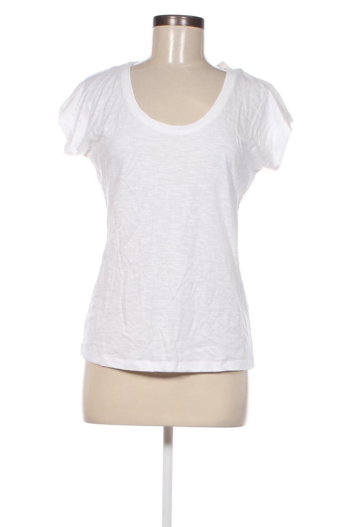 Γυναικεία μπλούζα Montego, Μέγεθος XS, Χρώμα Λευκό, Τιμή 22,68 €