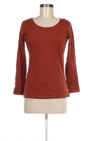 Damen Shirt, Größe M, Farbe Orange, Preis € 13,49