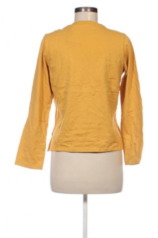 Damen Shirt, Größe XS, Farbe Orange, Preis € 13,49