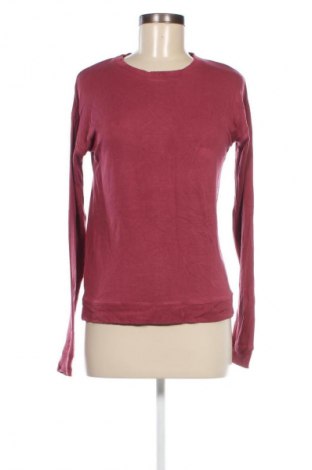 Damen Shirt Bershka, Größe S, Farbe Rot, Preis € 5,99