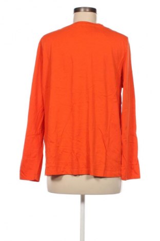 Damen Shirt Cecil, Größe XL, Farbe Orange, Preis € 9,99