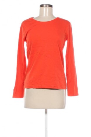 Damen Shirt Cecil, Größe L, Farbe Orange, Preis 23,99 €