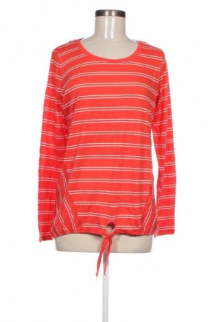 Damen Shirt Cecil, Größe L, Farbe Rot, Preis € 9,99