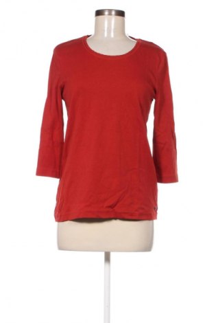 Damen Shirt Cecil, Größe L, Farbe Rot, Preis 17,00 €